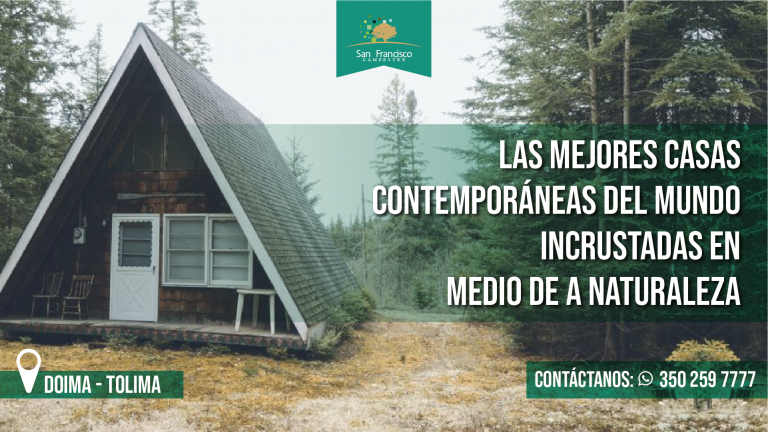 Las mejores casas contemporáneas del mundo incrustadas en medio de la naturaleza