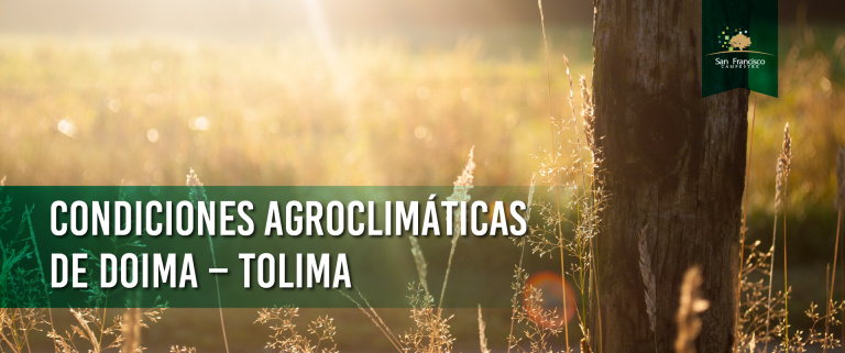 Condiciones Bioclimáticas de Doima – Tolima