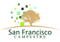 LOGO SFC LETRA VERDE .png-PhotoRoom